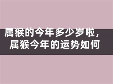 属猴的今年多少岁啦，属猴今年的运势如何