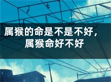 属猴的命是不是不好，属猴命好不好