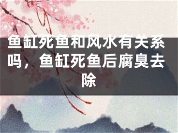 鱼缸死鱼和风水有关系吗，鱼缸死鱼后腐臭去除