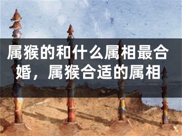 属猴的和什么属相最合婚，属猴合适的属相