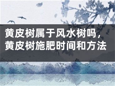 黄皮树属于风水树吗，黄皮树施肥时间和方法