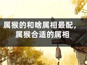 属猴的和啥属相最配，属猴合适的属相