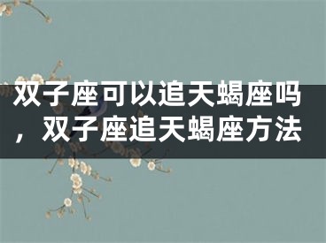 双子座可以追天蝎座吗，双子座追天蝎座方法
