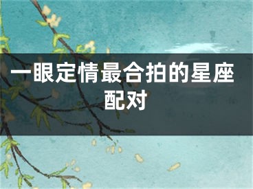 一眼定情最合拍的星座配对