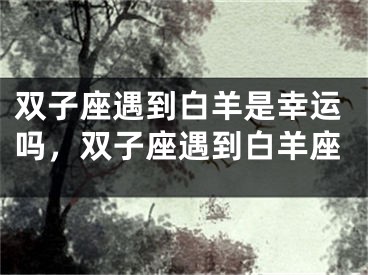 双子座遇到白羊是幸运吗，双子座遇到白羊座