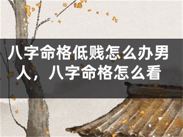 八字命格低贱怎么办男人，八字命格怎么看