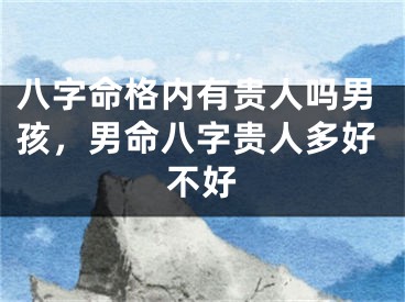 八字命格内有贵人吗男孩，男命八字贵人多好不好