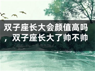 双子座长大会颜值高吗，双子座长大了帅不帅