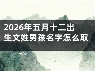 2026年五月十二出生文姓男孩名字怎么取