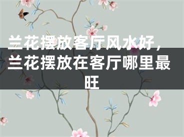 兰花摆放客厅风水好，兰花摆放在客厅哪里最旺