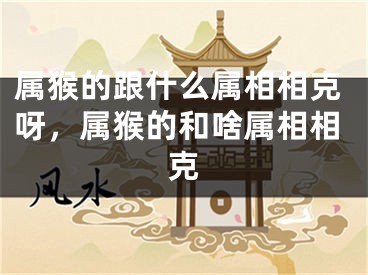 属猴的跟什么属相相克呀，属猴的和啥属相相克