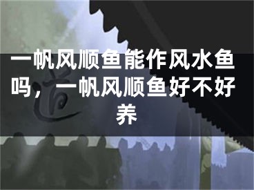 一帆风顺鱼能作风水鱼吗，一帆风顺鱼好不好养