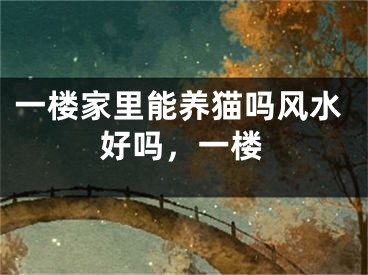 一楼家里能养猫吗风水好吗，一楼