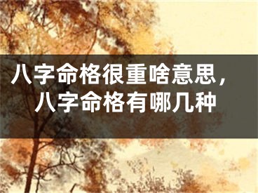 八字命格很重啥意思，八字命格有哪几种