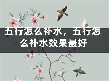 五行怎么补水，五行怎么补水效果最好