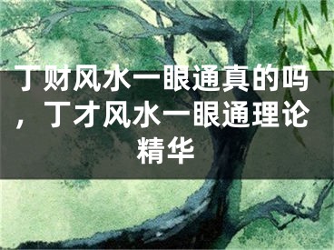 丁财风水一眼通真的吗，丁才风水一眼通理论精华