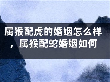 属猴配虎的婚姻怎么样，属猴配蛇婚姻如何