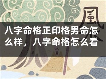 八字命格正印格男命怎么样，八字命格怎么看