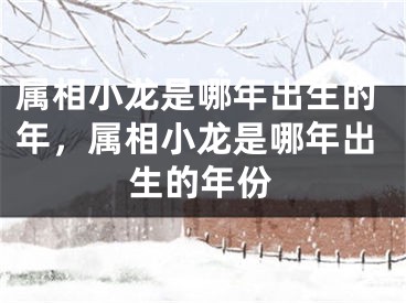 属相小龙是哪年出生的年，属相小龙是哪年出生的年份