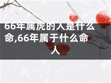 66年属虎的人是什么命,66年属于什么命人