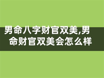 男命八字财官双美,男命财官双美会怎么样