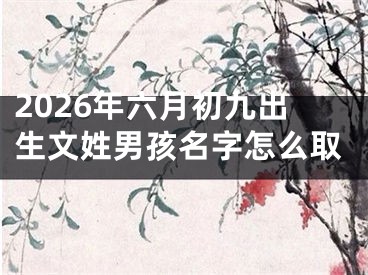 2026年六月初九出生文姓男孩名字怎么取