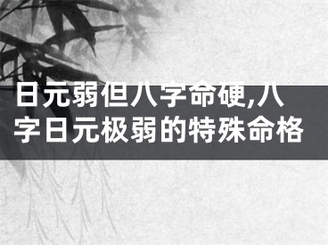 日元弱但八字命硬,八字日元极弱的特殊命格