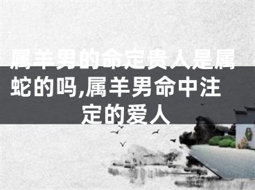 属羊男的命定贵人是属蛇的吗,属羊男命中注定的爱人