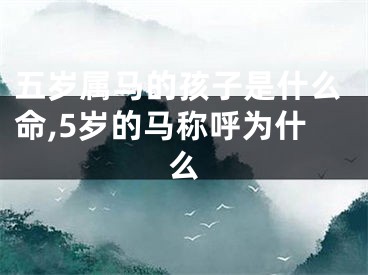 五岁属马的孩子是什么命,5岁的马称呼为什么