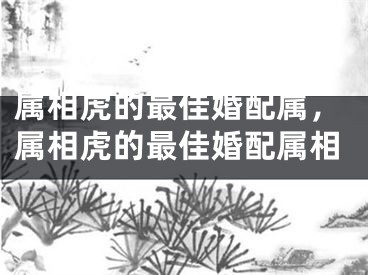 属相虎的最佳婚配属，属相虎的最佳婚配属相