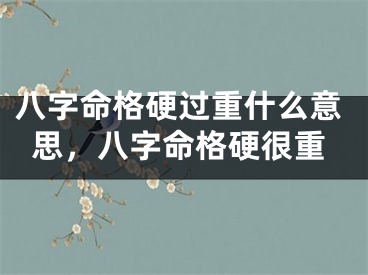 八字命格硬过重什么意思，八字命格硬很重