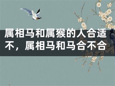 属相马和属猴的人合适不，属相马和马合不合