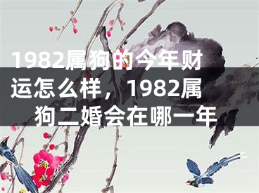 1982属狗的今年财运怎么样，1982属狗二婚会在哪一年