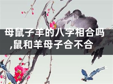 母鼠子羊的八字相合吗,鼠和羊母子合不合