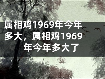 属相鸡1969年今年多大,属相鸡1969年今年多大了