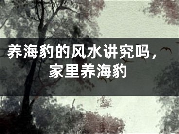 养海豹的风水讲究吗，家里养海豹