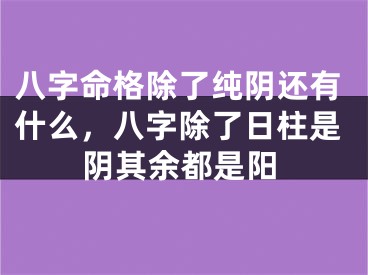 八字命格除了纯阴还有什么，八字除了日柱是阴其余都是阳