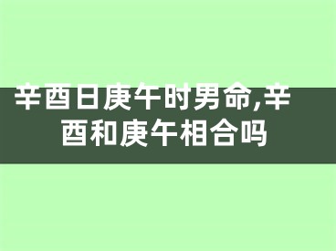 辛酉日庚午时男命,辛酉和庚午相合吗