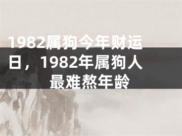 1982属狗今年财运日,1982年属狗人最难熬年龄