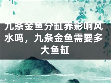 九条金鱼分缸养影响风水吗，九条金鱼需要多大鱼缸