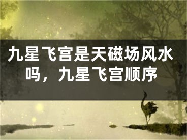 九星飞宫是天磁场风水吗，九星飞宫顺序