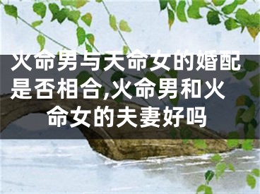 火命男与天命女的婚配是否相合,火命男和火命女的夫妻好吗