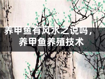 养甲鱼有风水之说吗，养甲鱼养殖技术