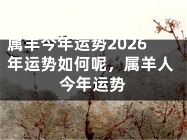 属羊今年运势2026年运势如何呢，属羊人今年运势