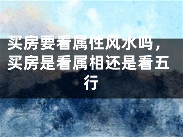 买房要看属性风水吗，买房是看属相还是看五行