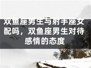 双鱼座男生与射手座女配吗，双鱼座男生对待感情的态度