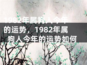 1982年属狗人今年的运势，1982年属狗人今年的运势如何