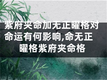 紫府夹命加无正曜格对命运有何影响,命无正曜格紫府夹命格