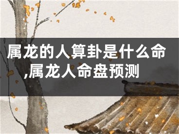 属龙的人算卦是什么命,属龙人命盘预测