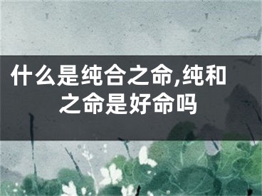 什么是纯合之命,纯和之命是好命吗